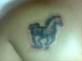 videos de The Black Sheep Tattoo studio Plasencia.wmv