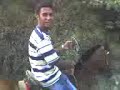 darwing