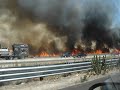 Wildfire