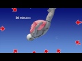 DOWNLOAD HERE: newsdirect.nma.com.tw Austrian skydiver Felix Baumgartner, 42, plans to jump from a helium balloon nearly 23 miles in the sky. If successful, he would break several world records, including highest-altitude freefall and fastest freefall and become the first human to break the speed of sound without using a machine. Baumgartner would reach speeds of more than 690mph during the 10-minute fall. His pressurized suit will be able to withstand the force of a sonic boom and temperatures of minus 70° C. Source: BBC