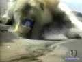 Personas con Suerte que se Salvaron de la Muerte