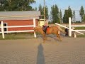 Click here to watch this video Napsu laukka