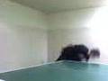 Gorzeń - ping - pong