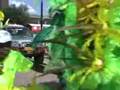 Zomercarnaval 2007