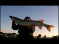 December Muskie