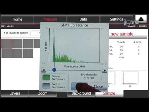 how to measure gfp