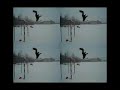 Radioactive Pants Parkour Promo