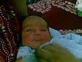PuchkI PuchkI