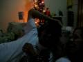 videos de Noite 24 e 25 098