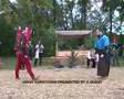 medieval streetfighting demonstration