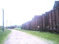 NBSR 2319 NBSR 2319