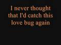 The Jonas Brothers Love Bug