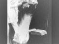 Igneous Flame: Geiss