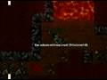 thos elne tibia danera thos elne tibia danera
