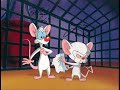 dimelo remix ft dalmata