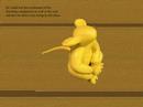 Story of... a little rat Story of... a little rat