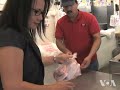 California Immigrants Become Politically Active