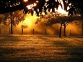 Dusk