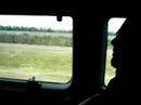Slaughtering the South stuff 3
