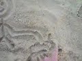 Sand Fantasy EXTREME Sand Fantasy EXTREME