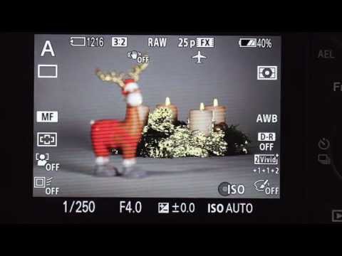 4 Gründe für den elektronischen Sucher