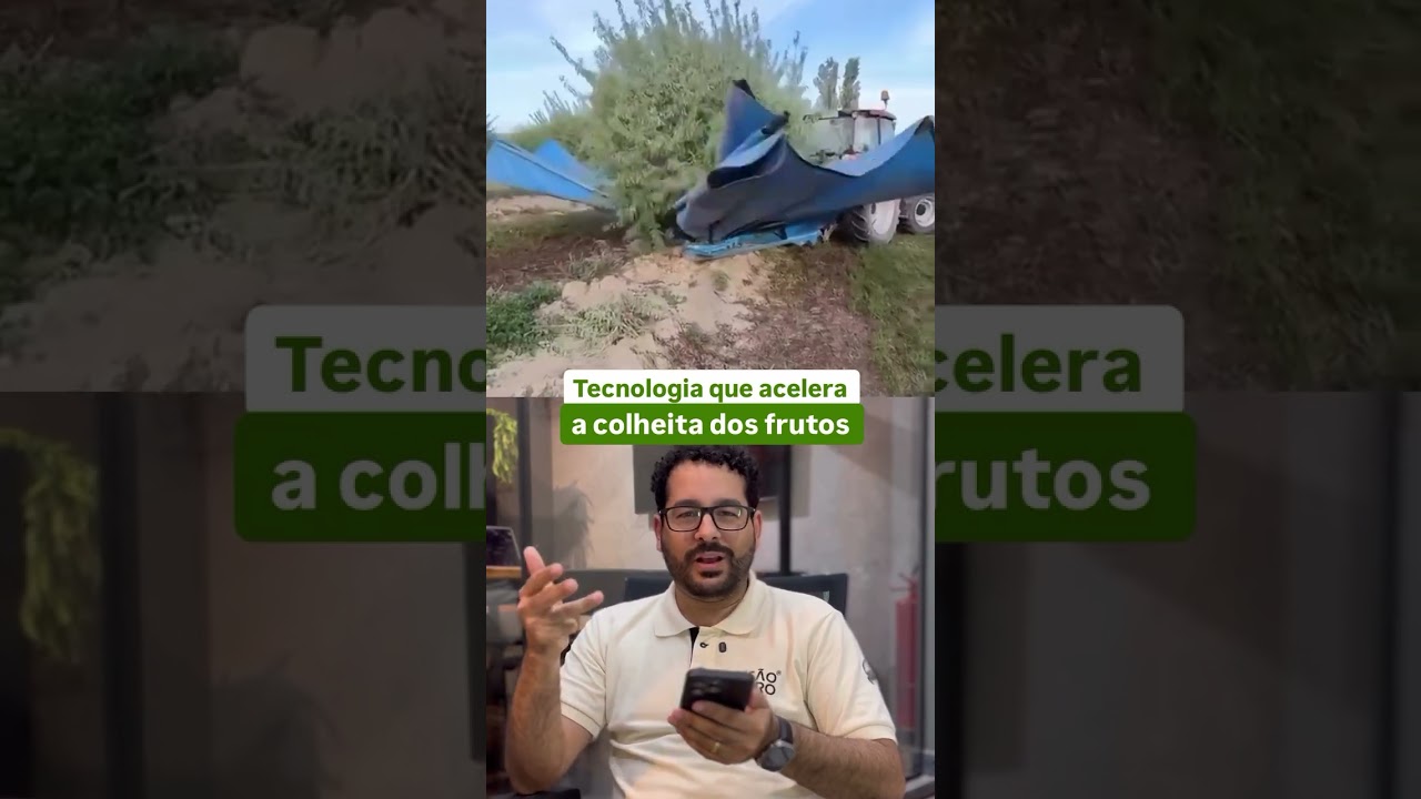 A colheita do GUARDA-CHUVA INVERTIDO é GENIAL! ☔ #shorts #agro #colheita