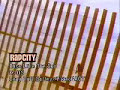 Video screenshot