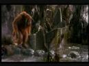 Jareth Rock