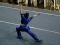 campeonato brasileiro 2008