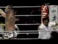 Wanderlei Silva - Disposition
