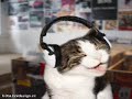 Deepack vs DJ Luna - Kick This Mutherfucka! (deepack liveset rip)