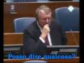 Anthony Oberschall - Vojislav Seselj - Educazione