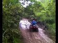 honduas en barranquitas honduas en barranquitas