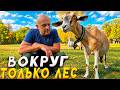 Exs - Šokis