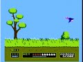duck hunt