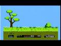 duck hunt
