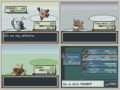 Let-s-race-pokemon-L