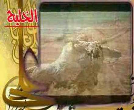 Ali Ali Ali Ali !!!