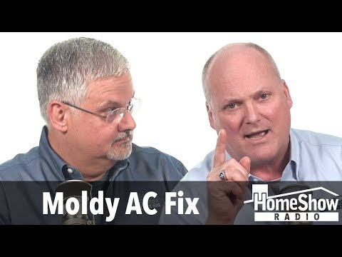 video-linktoworks-What should I do about mold in my AC system?