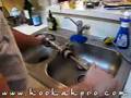 How To Clean Your Hookah With Beer! Hookah Pro Style!