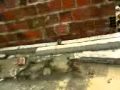 PISCINA DE CURURU:YouTube������=6��