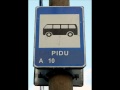 video pilt