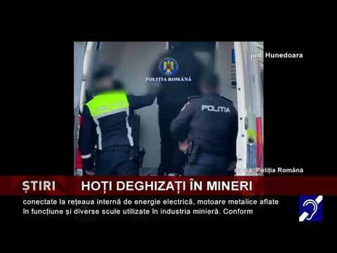 Hoți deghizați în mineri