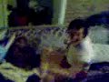 Behind The Scenes : Johnny Plays On The Couch