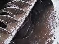 ARGO CONQUEST-THE ECSTASY OF MUD! ARGO CONQUEST-THE ECSTASY OF MUD!