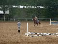 moi et perle en cour de saut moi et perle en cour de saut