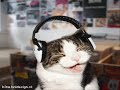 en mi puedes confiar RMX J.lo and Don Omar 