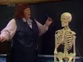 Bodger and Badger - 2x04 - The Skeleton (2 of 2)