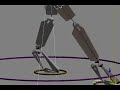rigging alillo