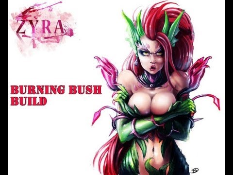 how to build zyra